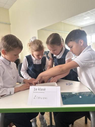 img 4469
