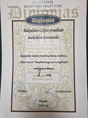 TITULINĖ (30)